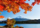 Top 5 tour Nhật Bản mùa thu lá đỏ